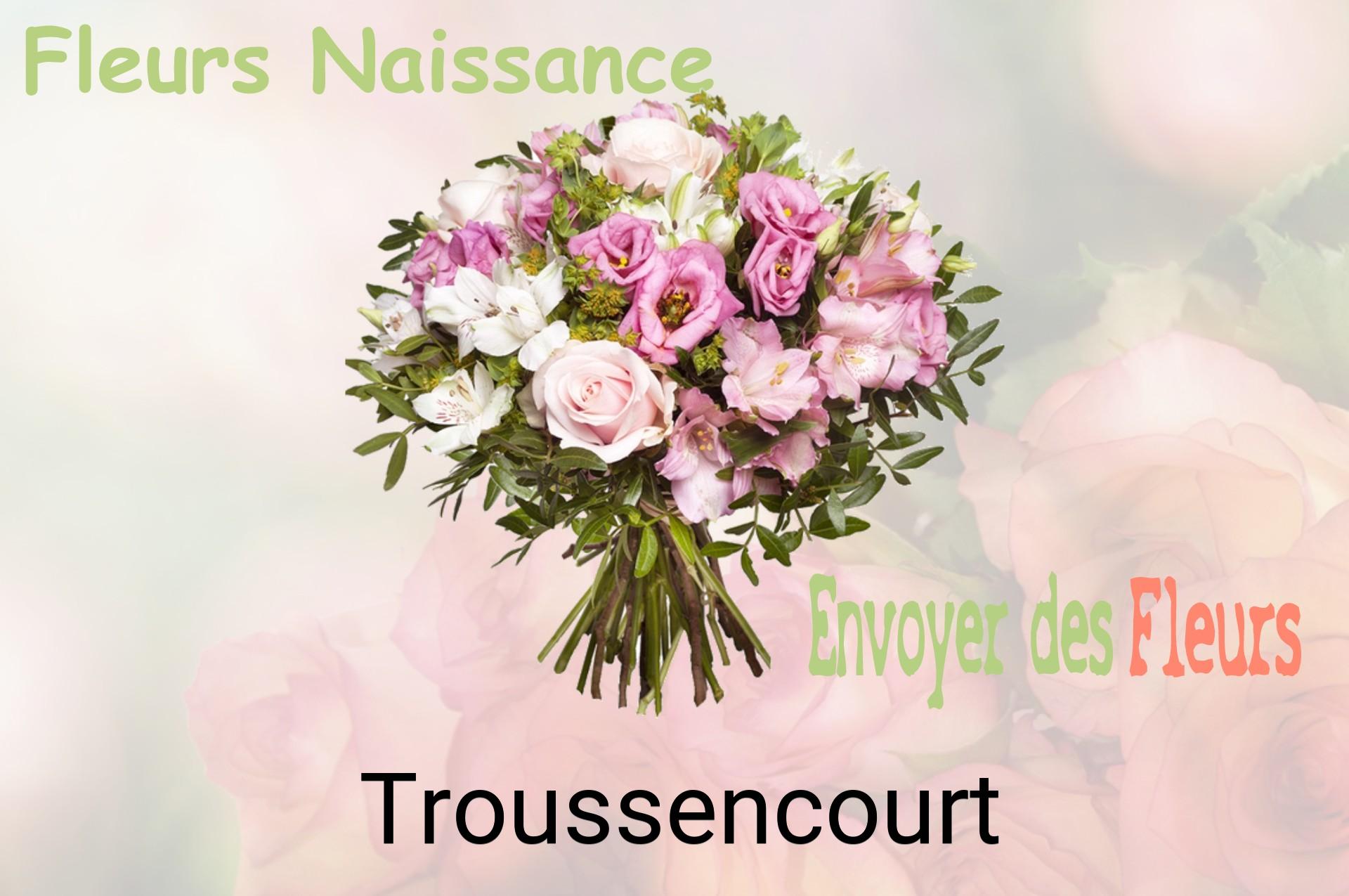 Bouquet de fleurs de naissance livré à Troussencourt