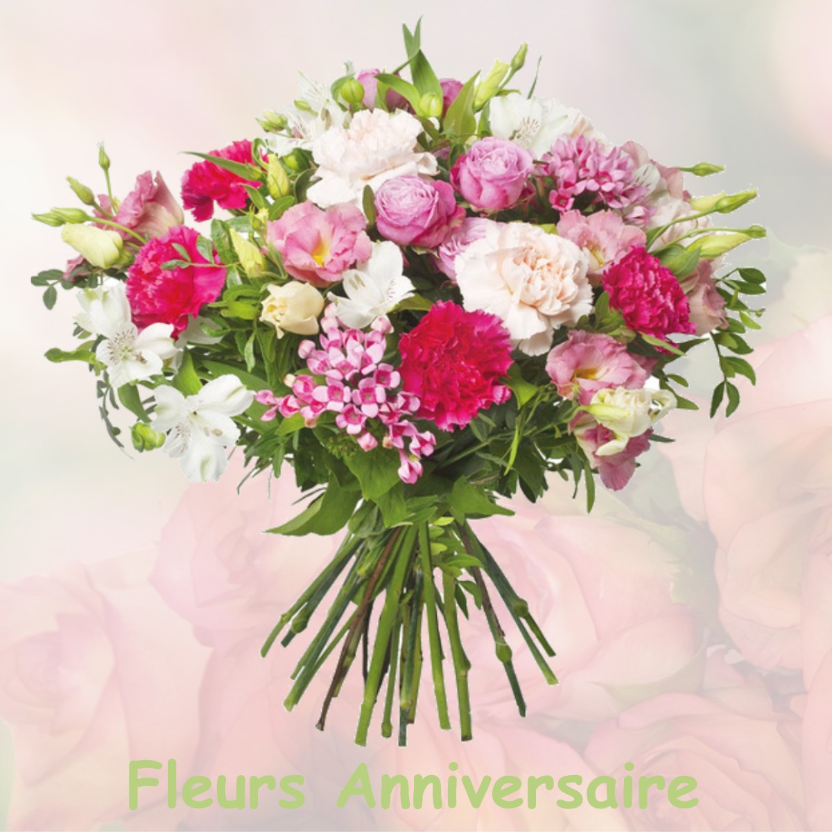 fleurs anniversaire TROUSSENCOURT
