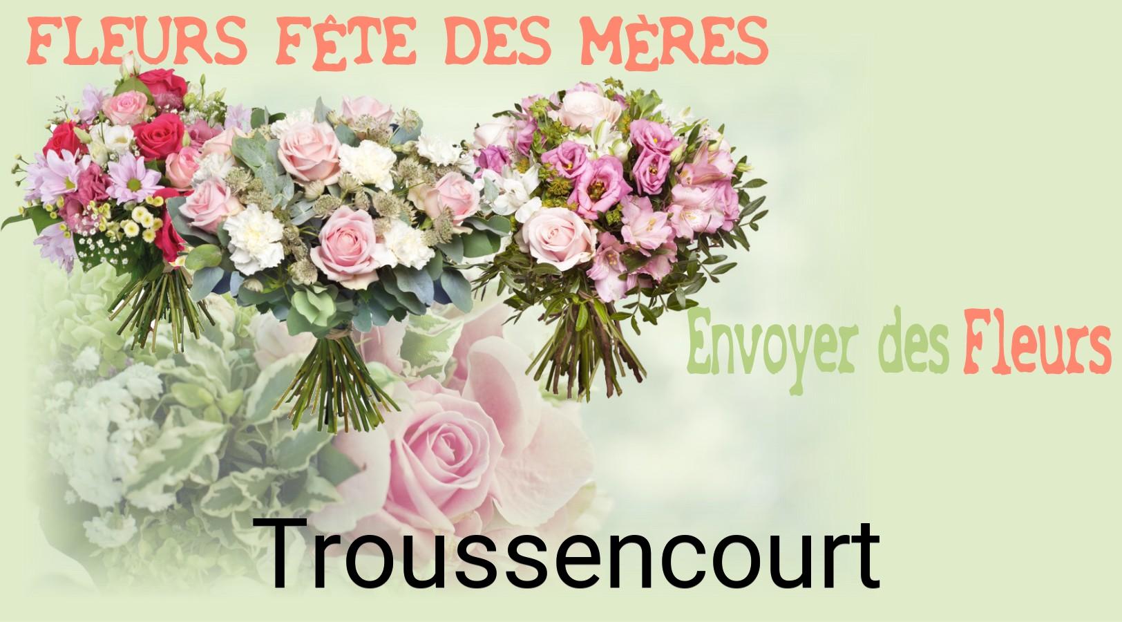 Bouquet de Fête des Mères livré à Troussencourt